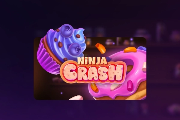 07496 ninja crash
