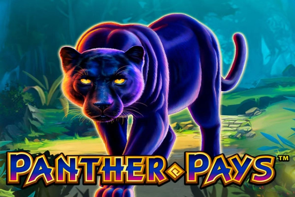 17407 panther pays