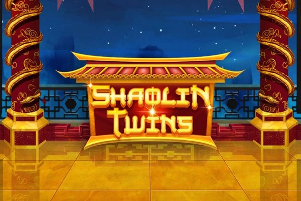 22118 shaolin twins