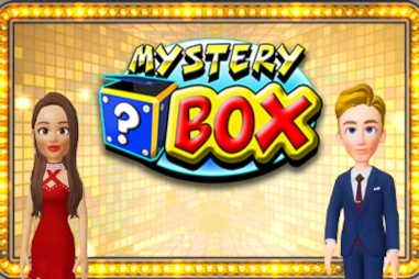25213 mystery box